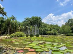 -中国科学院西双版纳热带植物园