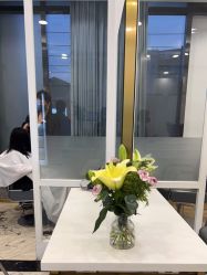 -YESIDO椰岛造型