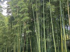 -成都杜甫草堂博物馆
