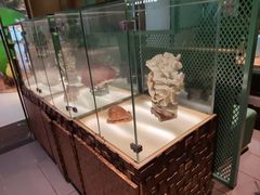 -春润大地海南椰子鸡(沙井京基百纳广场店)