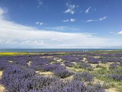 -青海湖国家重点风景名胜区