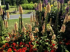 -上海植物园-4号门售票处