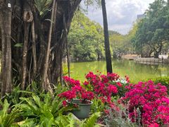 -人民公园(罗湖区)