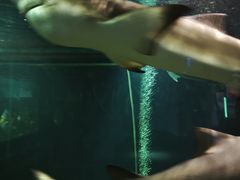 -嘉兴海底世界