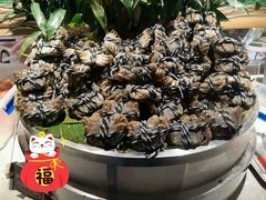 -五月罗马海鲜自助餐厅(陆家嘴店)