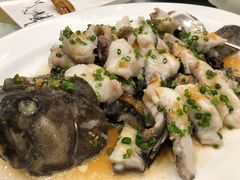 古法原条蒸虎斑-汇景海鲜店