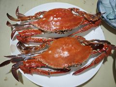 -小红门海鲜