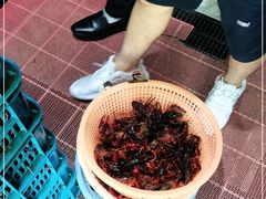-指爱龙虾(金杨路总店)