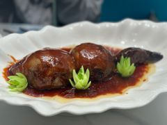 -丁老爷子苏香圆