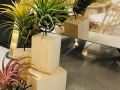 -Fruiffee Cafe 果啡派