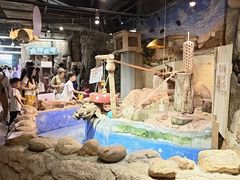-正佳雨林生态植物园