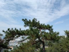 -金鸡山公园