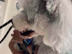 -佳雯宠物医院·皮肤科·内外科(春晓路分院)