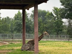 -石家庄市动物园