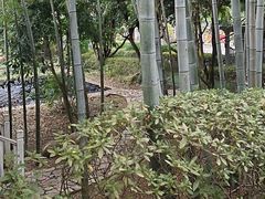 -故乡缘·香格里拉山庄(冷竹路店)