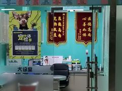 -天使宠物医院·犬猫分诊(彩虹店)