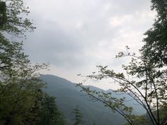 -龙窝子