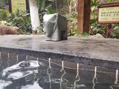 -明月山天沐温泉度假村