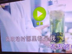 -佰迪乐KTV(阳桥店)