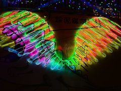 -巨鹏飞梦幻海岸