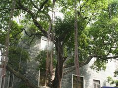 -黄埔古港