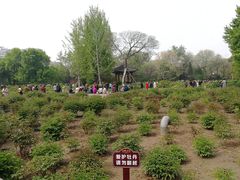 -迎泽公园