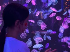 -顺德南宏海立方海洋公园