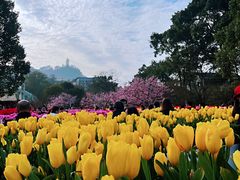 -南山植物园