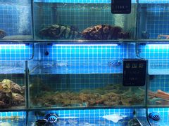 -鸽子侯·家宴·平价海鲜(市图书馆店)