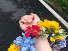 -含鄱口