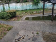 -无锡动物园·太湖欢乐园