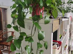 -润合汇养生馆(佳宁娜广场店)
