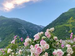 -九寨沟风景区