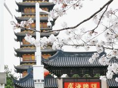 -常熟方塔园