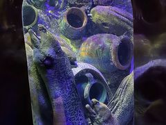 -太平洋海底世界