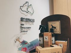 -電力宠物公司(武定路店)