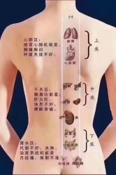 -香薇妮丝·定制减肥·身材管理