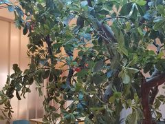 -悦海·家宴·冰花皮皮虾大锅贴(宝龙店)