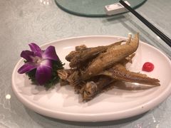 -金米箩大酒店(五角场店)