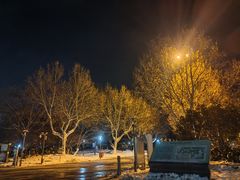 -桃花岛公园