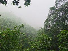 -九宫山风景区