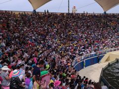 -秦皇岛乐岛海洋王国