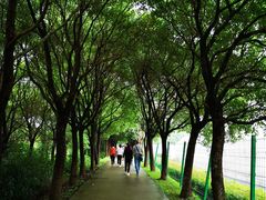 -上膳源有机农场