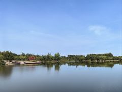 -东郊湿地公园