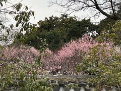 -无锡梅园公园