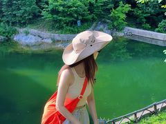 -龙道沟景区