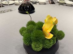 -阿五黄河大鲤鱼(纬三路店)