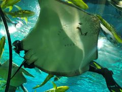 -福州罗源湾海洋世界旅游区