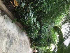 龙达温泉生态城-龙达温泉生态城