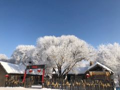 -雾凇岛